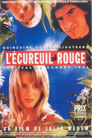 Poster L'écureuil rouge 1993
