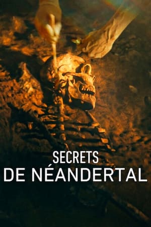 Image Secrets de Néandertal