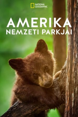 Poster Amerika nemzeti parkjai 2022