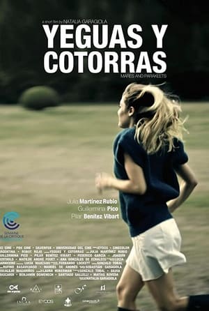 Poster Yeguas y cotorras 2012