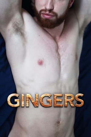 Poster Gingers 2013