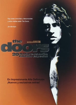 Poster The Doors 1991