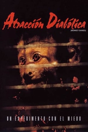 Poster Atracción diabólica 1988