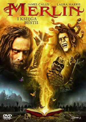 Poster Merlin i księga bestii 2009