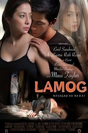 Poster Lamog 2011
