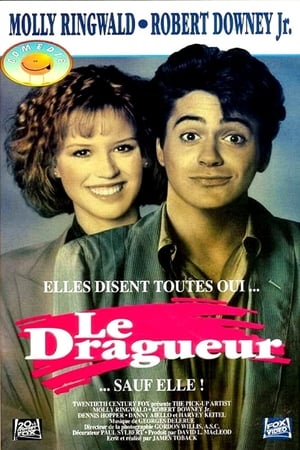 Poster Le dragueur 1987