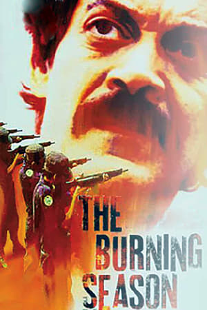 Poster The Burning Season 1994