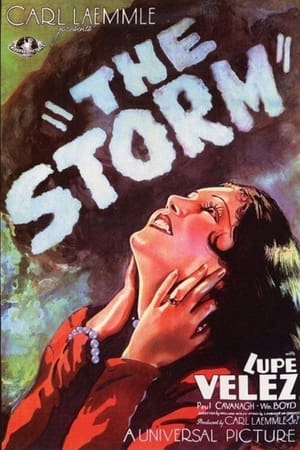 Poster The Storm 1930