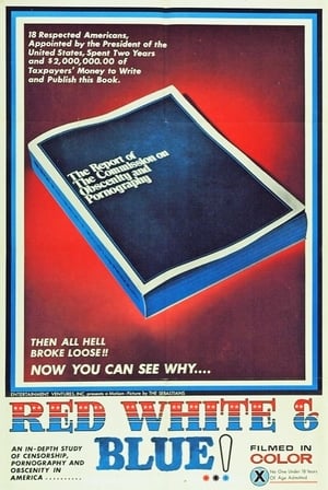 Poster Red, White and Blue 1971