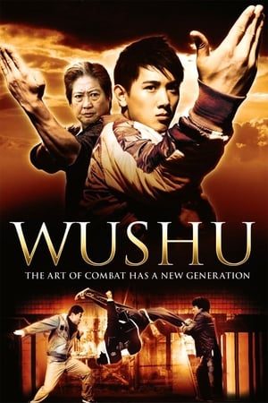 Image Wushu - A fiatal generáció