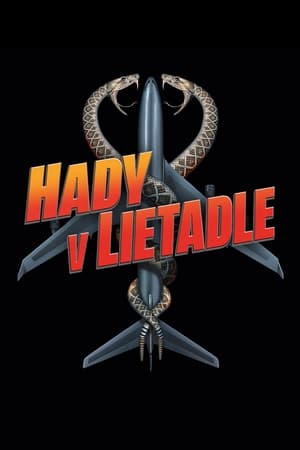 Poster Hady v lietadle 2006
