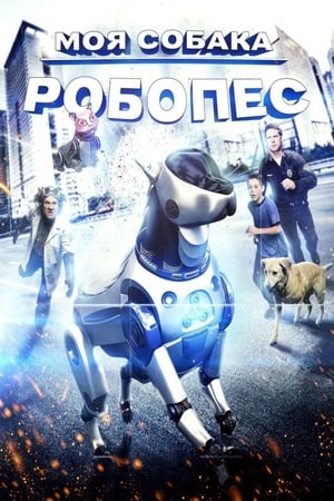 Poster Пригоди РобоРекса 2014