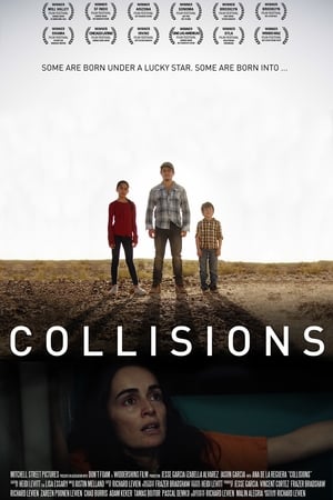 Poster Collisions 2019
