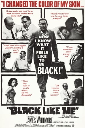Poster Black Like Me 1964