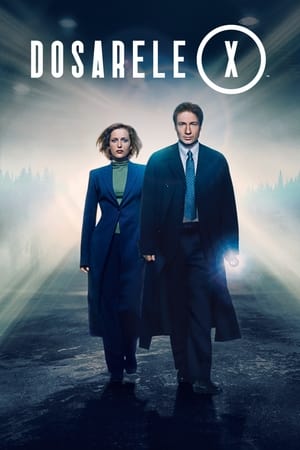 Poster Dosarele X Sezonul 11 Episodul 5 2018