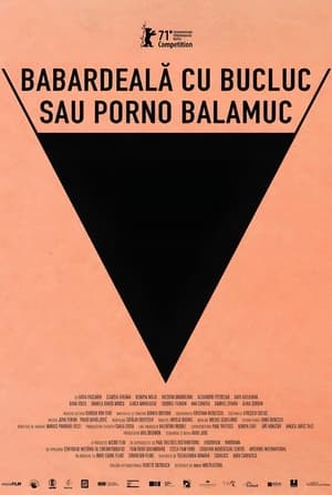 Poster Kaçık Porno 2021