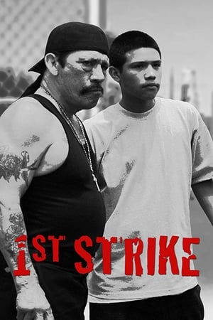 Poster 1st Strike 2016