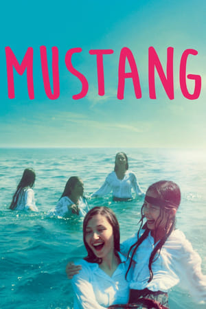 Poster Mustang 2015