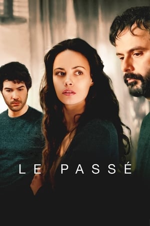 Poster Le passé 2013