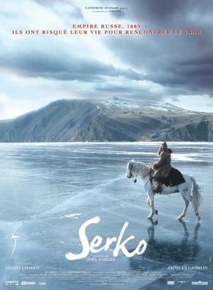 Poster Serko 2006