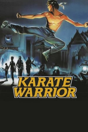 Image Karate Warrior