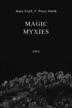 Image Magic Myxies