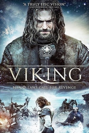 Poster Viking 2016