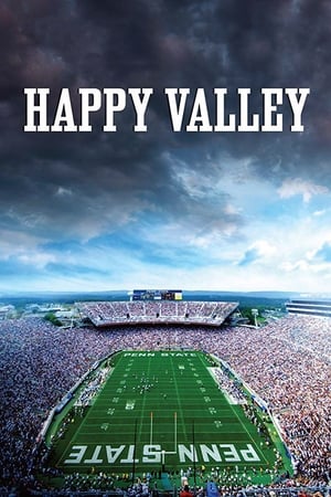 Poster Happy Valley 2014