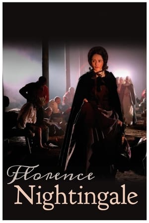 Poster Florence Nightingale 2008