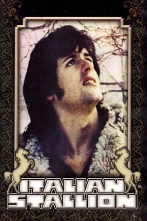 Poster Italský hřebec 1970