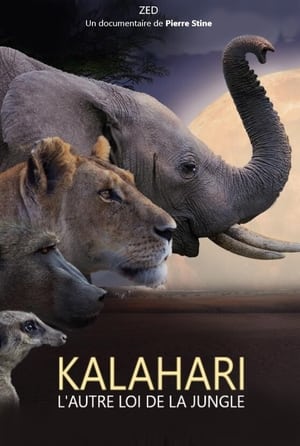 Poster Kalahari, l'autre loi de la jungle 2021