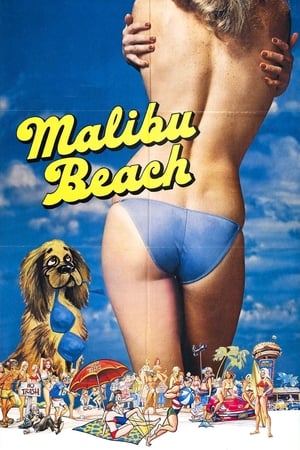 Image Malibu Beach