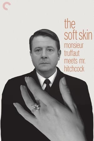 Poster Monsieur Truffaut Meets Mr. Hitchcock 1999
