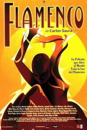 Poster Flamenco 1995