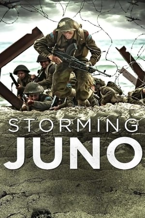 Poster Storming Juno 2010