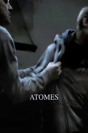 Image Atomes