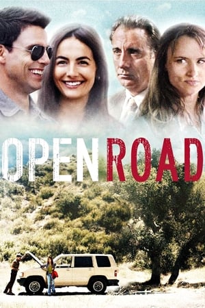 Image Open Road - Wohin wird der Weg sie führen?
