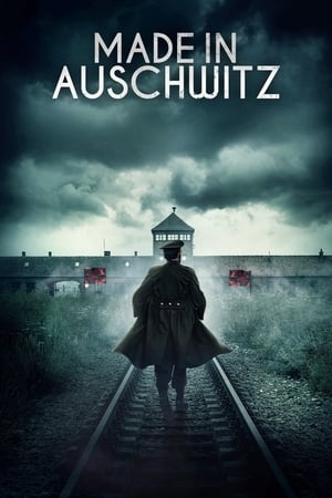 Image Made in Auschwitz: The Untold Story of Block 10