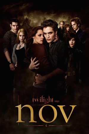 Poster Twilight Sága: Nov 2009