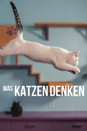 Poster Was Katzen denken 2022