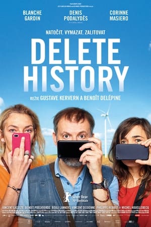Poster Delete History 2020