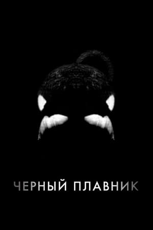 Poster Чёрный плавник 2013