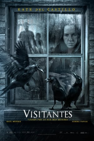 Poster Visitantes 2014