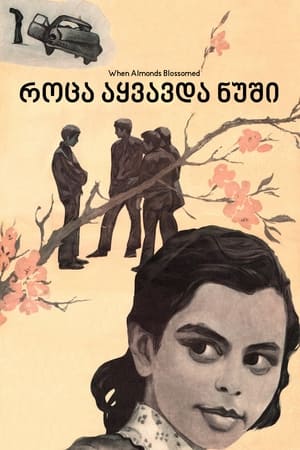 Poster როცა აყვავდა ნუში 1973