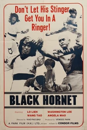 Poster Black Hornet 1977