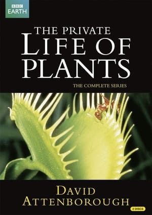 Poster The Private Life of Plants 1995