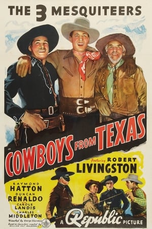 Image Cowboys from Texas