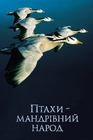 Poster Птахи – мандрівний народ 2001