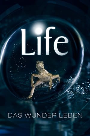 Poster Life - Das Wunder Leben 2009