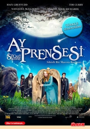 Poster Ay Prensesi 2009